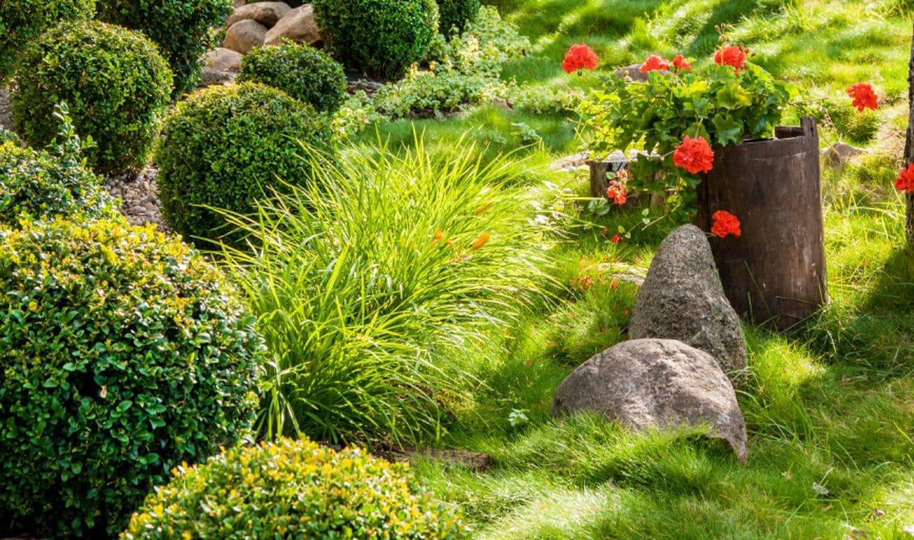 J&C Tree Service