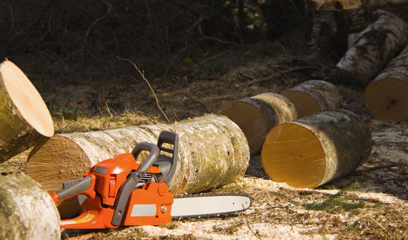 J&C Tree Service